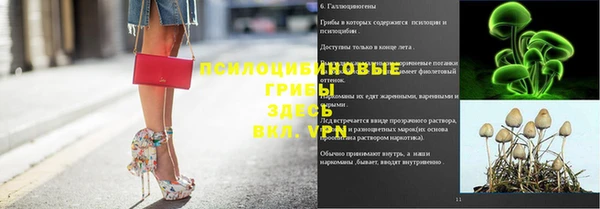 прущая мука Дмитриев
