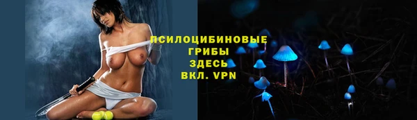 не бодяженный Горняк