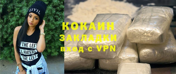 индика Дмитров